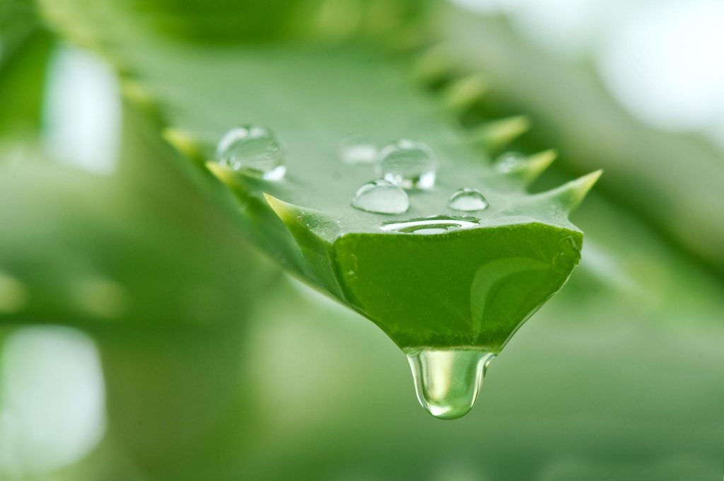Skin Care Tips That Will Help You To Remove Milk Spots